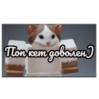 Стикер Поп кет - 0