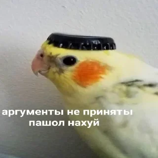 Стикер Постирония • @TgStickery - 6