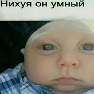 Стикер Постирония • @TgStickery - 9