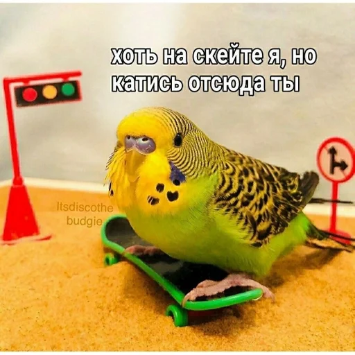 Хуйня собаки by @fStikBot Хуйня собаки by @fStikBot -