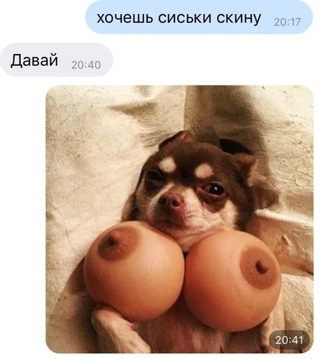 Стикер Кинь жопу :: @fStikBot - 2