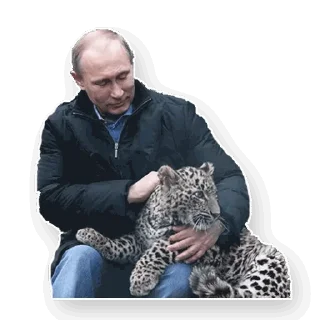 Sticker Путин - 6 Sticker Путин - 6