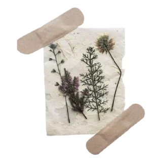 Sticker Больше стиков тут: @stikery4 - 7