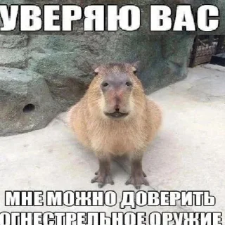 Стикер Ладно. @HoroScopRoBot - 2
