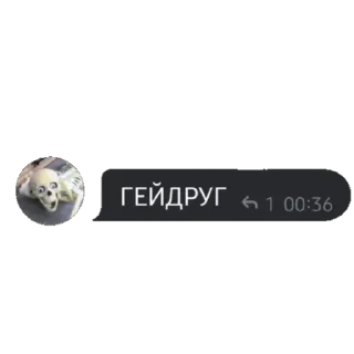 Стикер СНОУДРОП🔥 - 4