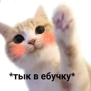 Sticker мои 1 @StickersPackRobot - 8