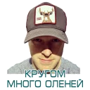 Стикер Saeima 2018 - 4
