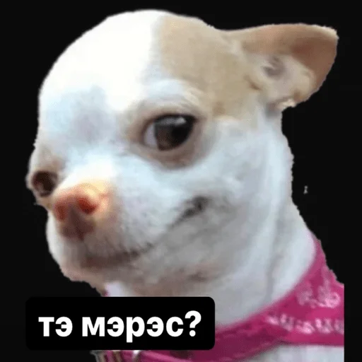 Стикер Русланчик - 5