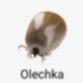 Sticker Сасалки - 0