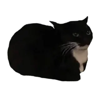 Sticker Sezonersc - 0