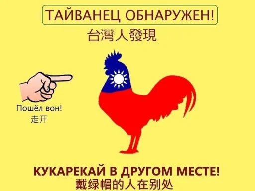 СМС СМС животное птица