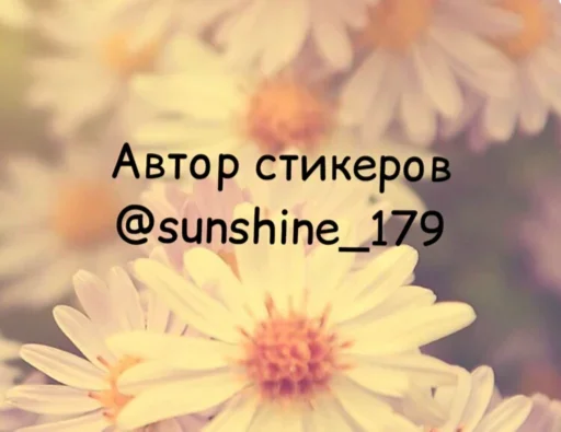 растение растение цветок пыльца