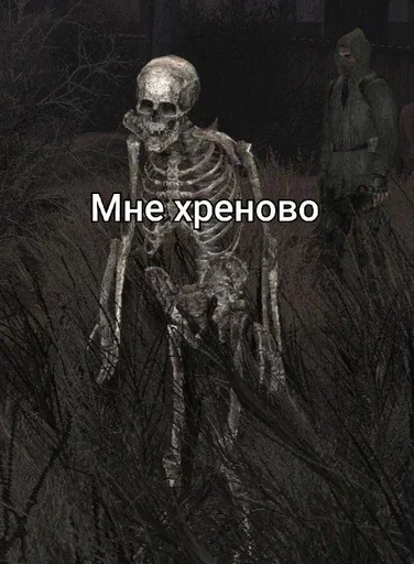 Stalker&Friend - 
