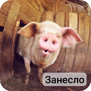 Стикер Свинская исповедь(Паблик) - 4
