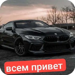 Sticker TIMOHA BMW - 10