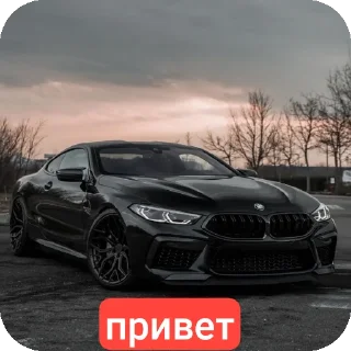 Sticker TIMOHA BMW - 3