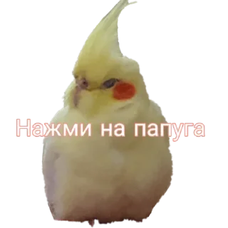 Стикер Больше стиков тут: @stikery4 - 6