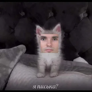 Sticker роутер - 0 Sticker роутер - 0
