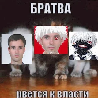 Sticker роутер - 8 Sticker роутер - 8