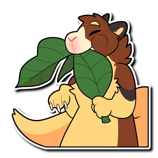 Tree Kangaroo - 
