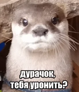Стикер Задолбали - 5 Стикер Задолбали - 5