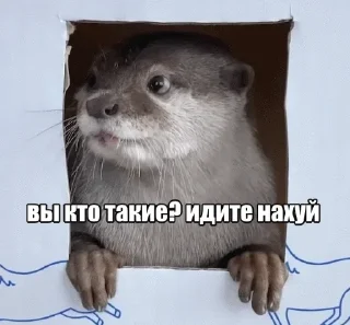 Стикер Задолбали - 6 Стикер Задолбали - 6
