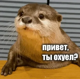 Стикер Задолбали - 10 Стикер Задолбали - 10
