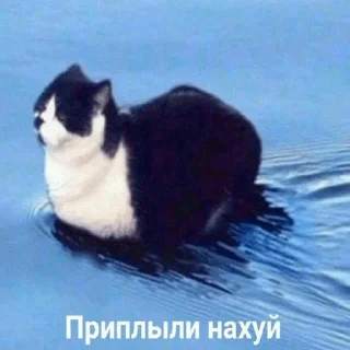 Стикер Vitaly pack - 5 Стикер Vitaly pack - 5