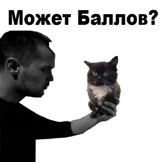 Стикер WB stickers - 6 Стикер WB stickers - 6