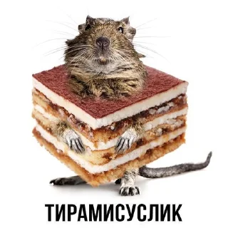 Sticker Слово+слово➡️ @stickers_gold - 0