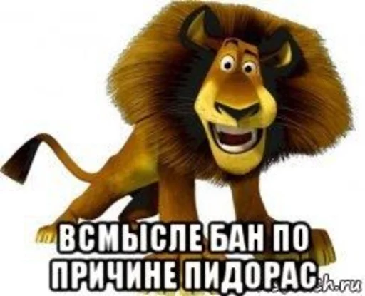 СМС СМС обезьяна мультфильм