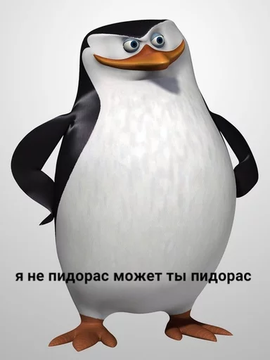 водная птица водная птица птица животное