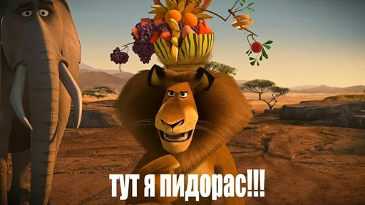 мультфильм мультфильм млекопитающее животное
