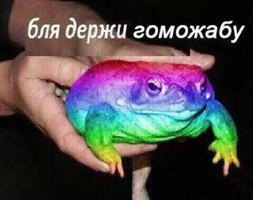 животное пресмыкающееся лягушка