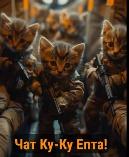 Стикер Военные котики. сделано:@GordoKotik - 7