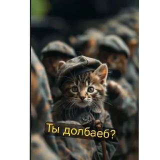 Стикер Военные котики. сделано:@GordoKotik - 3