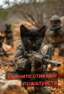 Стикер Военные котики. сделано:@GordoKotik - 4