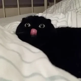 Стикер Стикеры тут 👉 @Femoji - 0