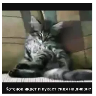 Стикер Залупка - 0