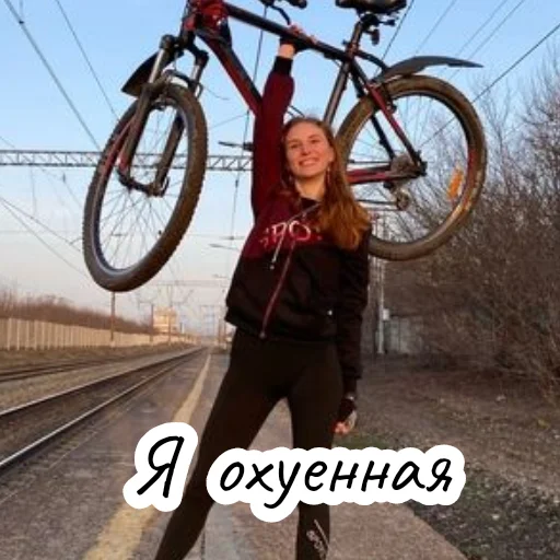wheel wheel bicycle wheel bicycle frame