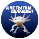 Стикер zhoreg - 0