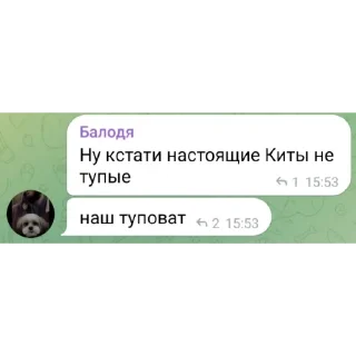 Стикер Pasha Pidor - 3