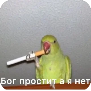 Стикер @a_k_kira - 0