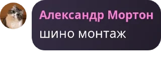 Стикер Admins Fun представляет - 5