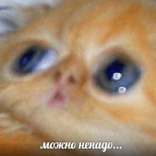 Sticker Маринад - 0