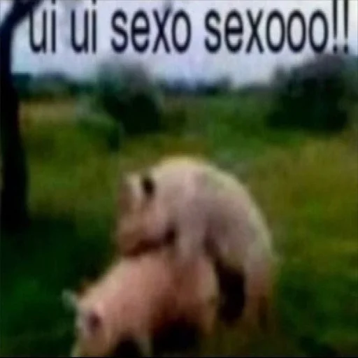 mammal mammal animal text