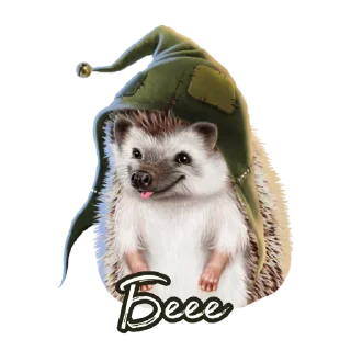 Sticker Ёжик Атти - 4