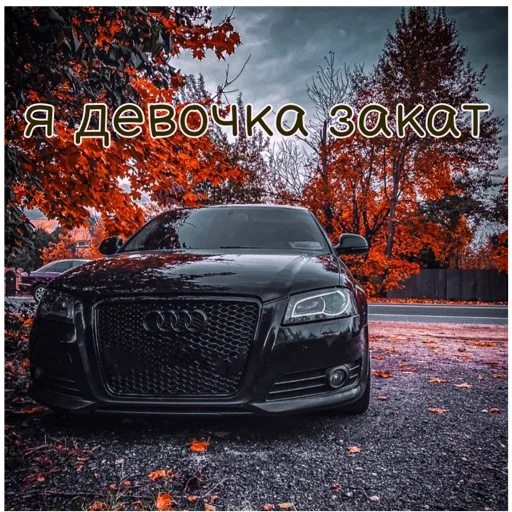 ауди ауди -