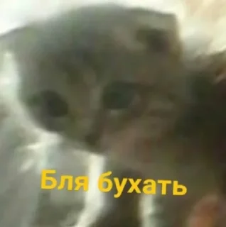 Sticker ауе - 6