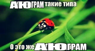 Стикер АЮГРАМ - 5